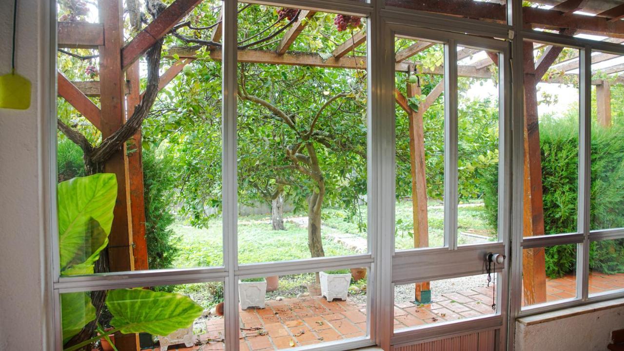 Holiday home Casa Do Avo Machado