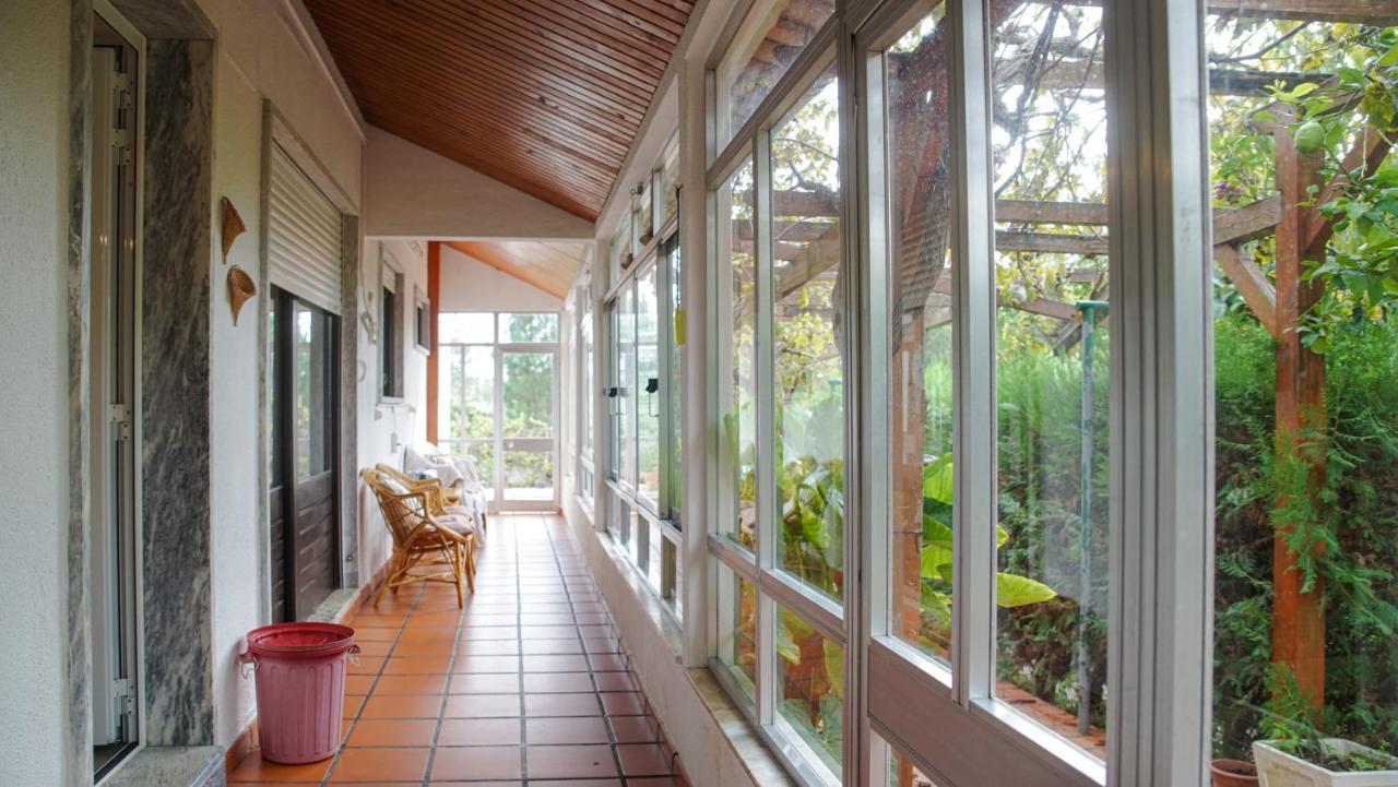 Casa Do Avo Machado Holiday home Abrantes